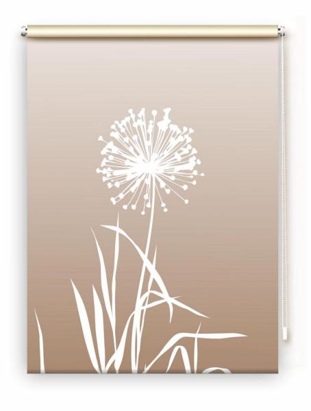 Rollo Allium 24 cappuccino, Rollo, Motivrollo, Rollo mit Druck, Fotorollo, bedrucktes Rollo, Fensterrollo,verdunkelndes Rollo, Sonnenschutz Rollo